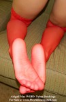am20